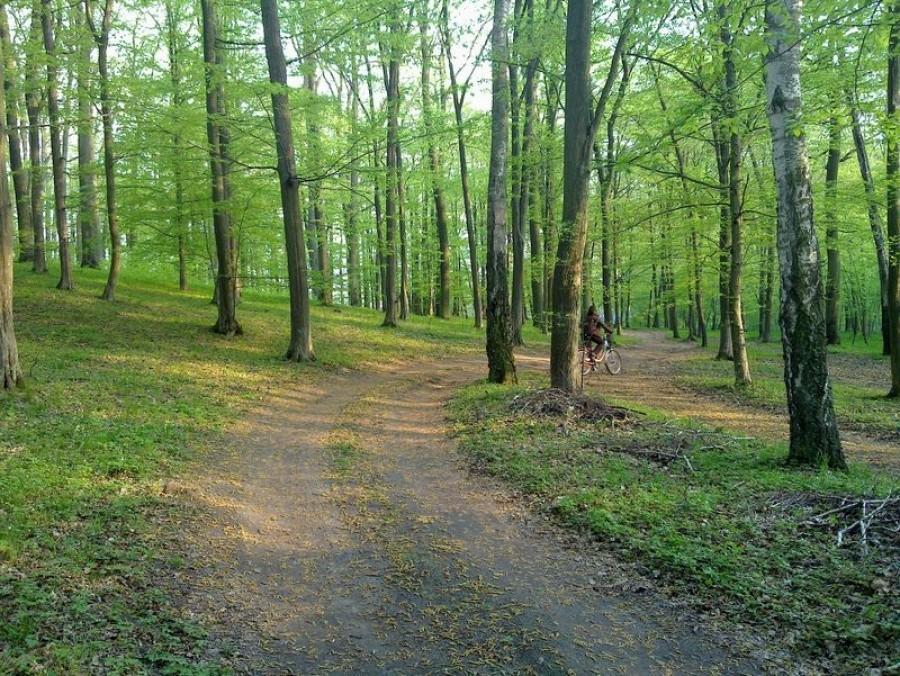 Konin - Rudzica