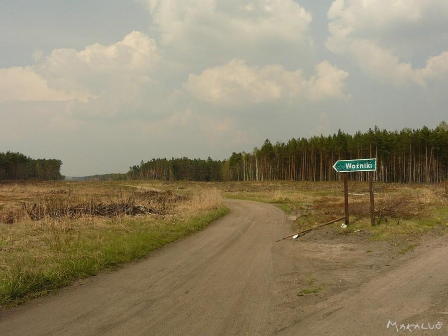 A1 niedaleko Woźnik