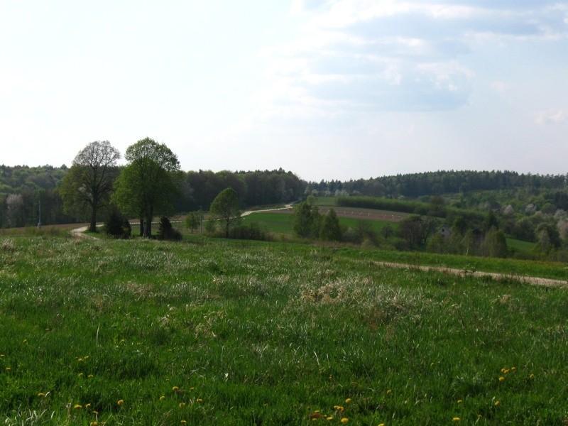 Zjazd w stronę Błażowej.