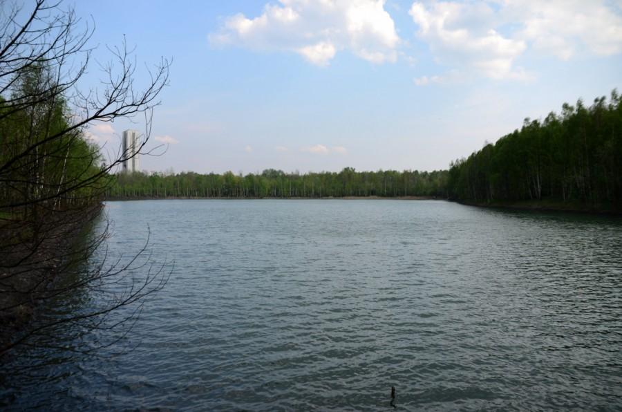 Staw pod hałdą Makoszowy