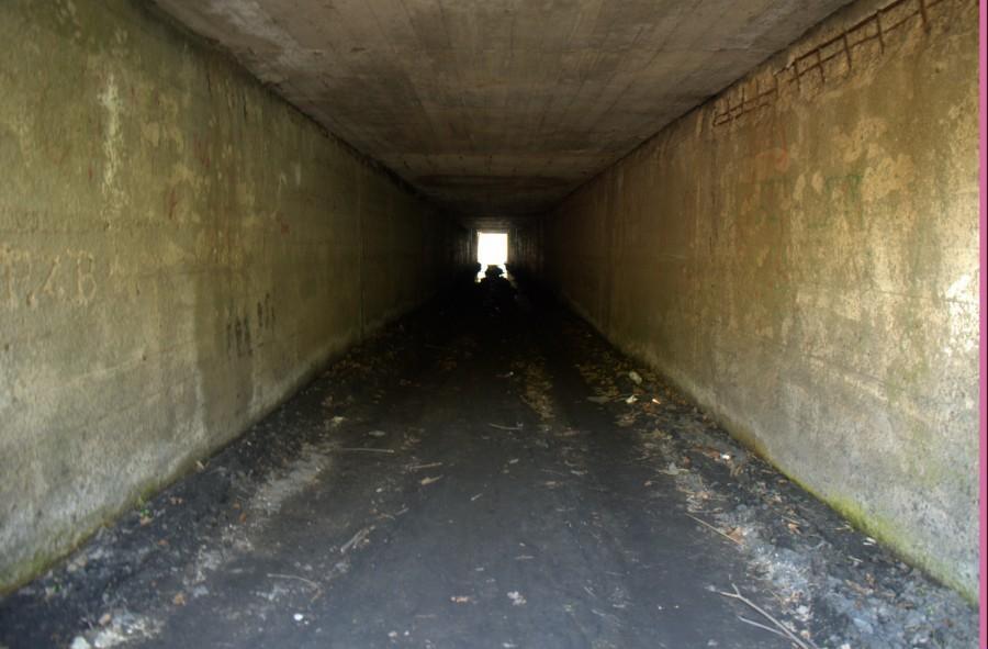 Czy widzisz światełko w tunelu ....