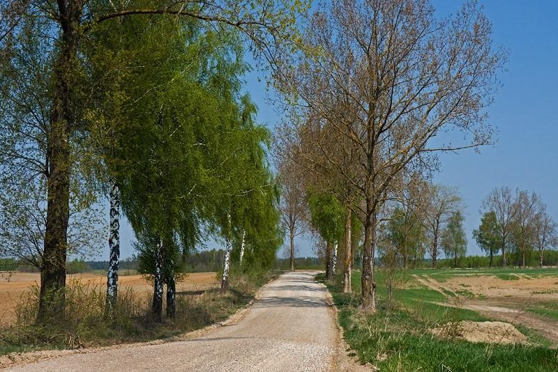 Szutrowa droga