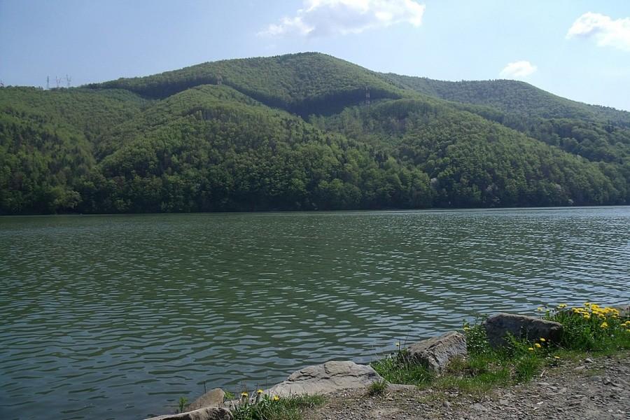 Zielony Żar