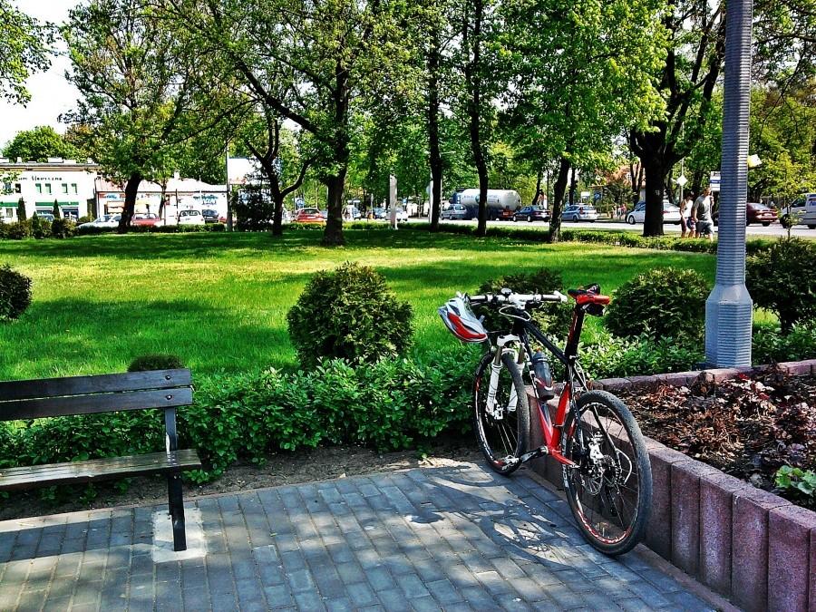 Przed halą MOSiR