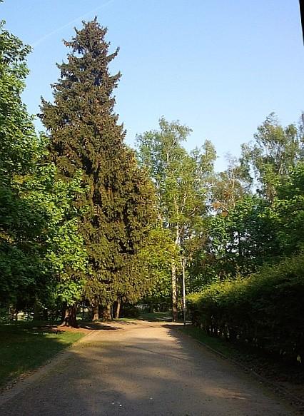 Park Kasprowicza w Szczecinie