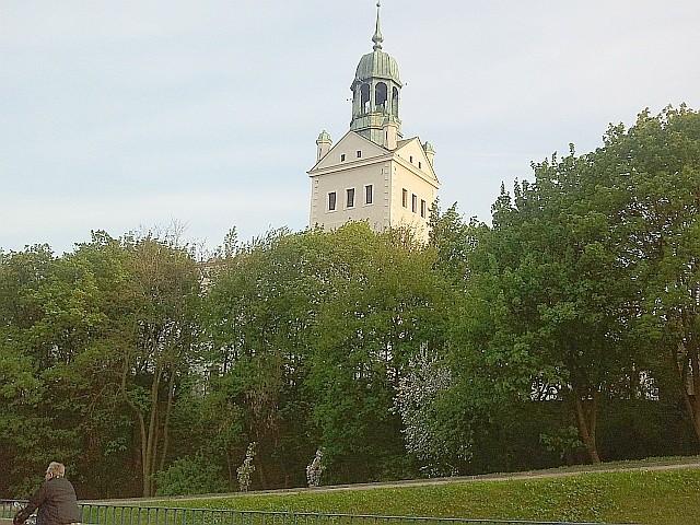 Zamek Książąt Pomorskich za drzewami