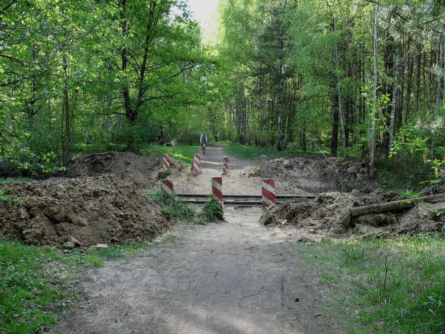 Park Leśny Bemowo