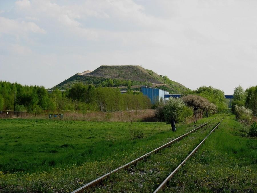 Góra Śmieciowa 144 m n.p.m.