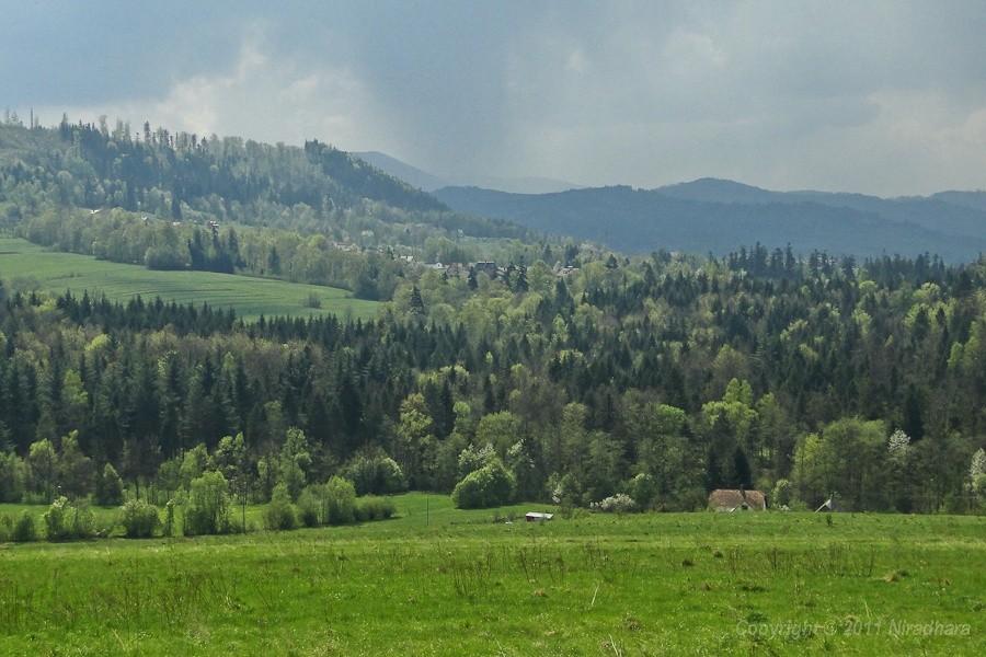 widoczek z drogi 1