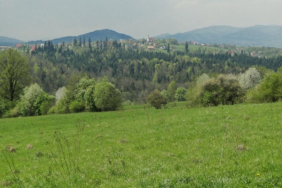 widoczek z drogi 2