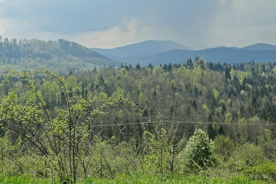 widoczek z drogi 3