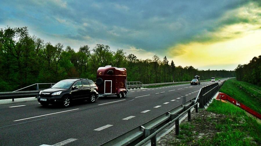 Samochody przewożące konie