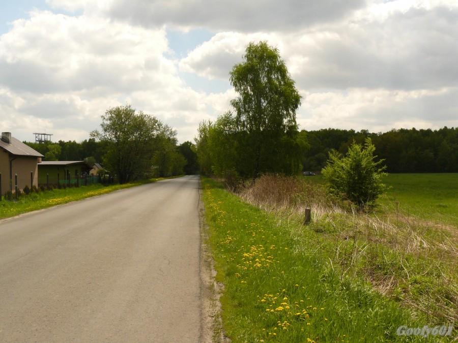 W stronę osiedla Młodego Górnika.