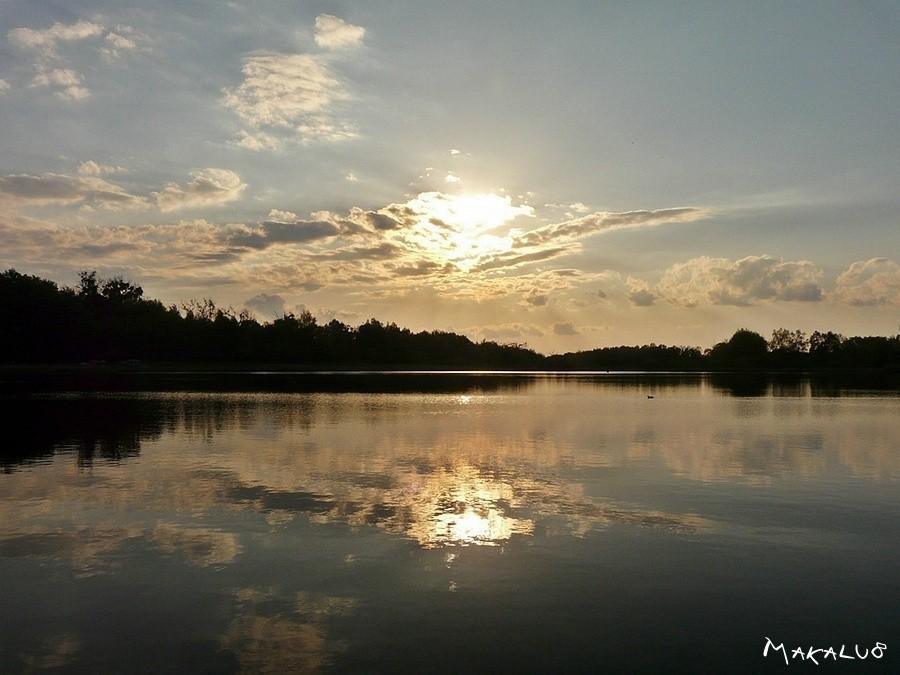 Staw przy Os. Młodego Górnika w Zabrzu