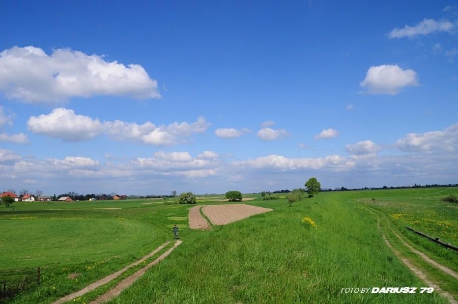 Mikluszowice i okolice