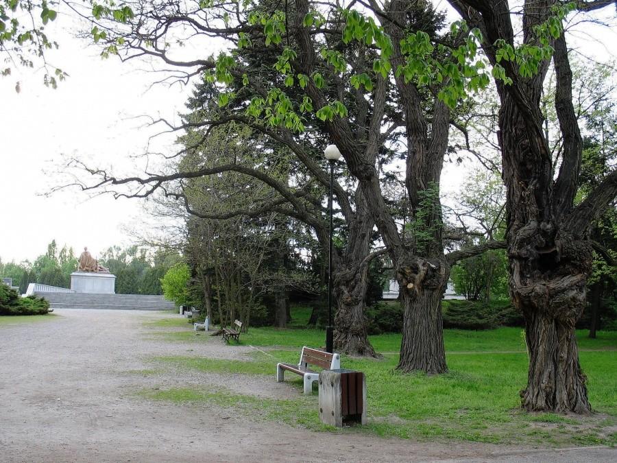 Cmentarz żołnierzy radzieckich