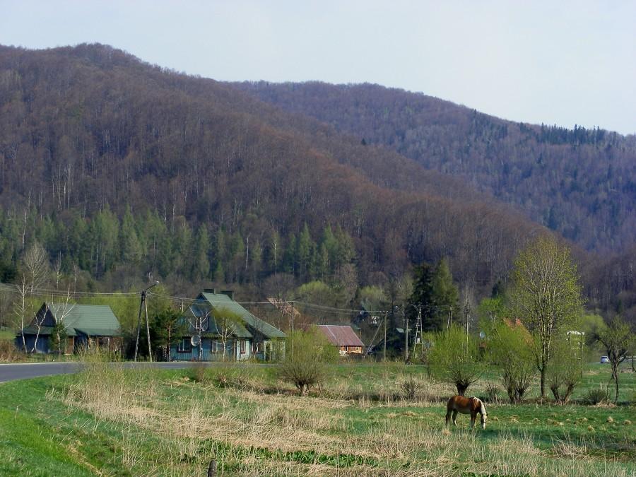 W Bereżkach