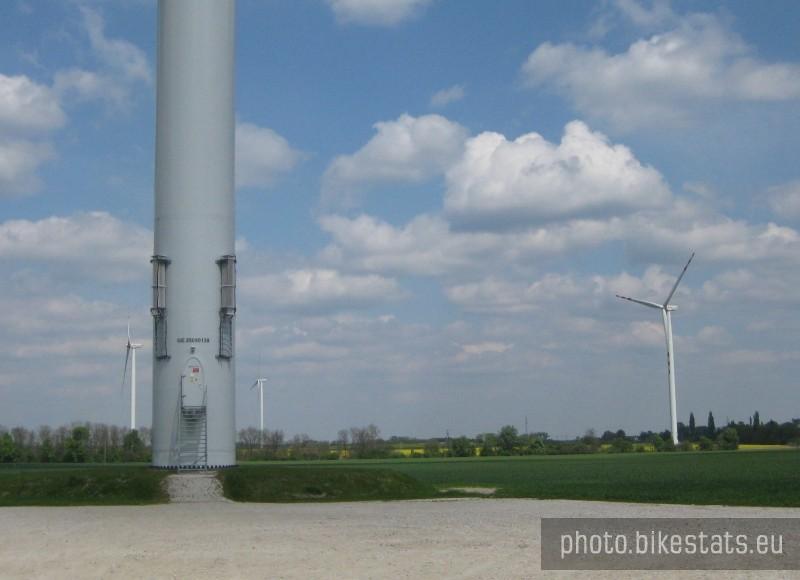 Ogromne elektrownie wiatrowe w pobliżu Nekli.