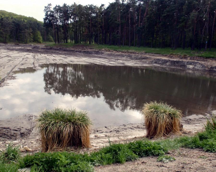 Staw Amerykan prawie bez wody