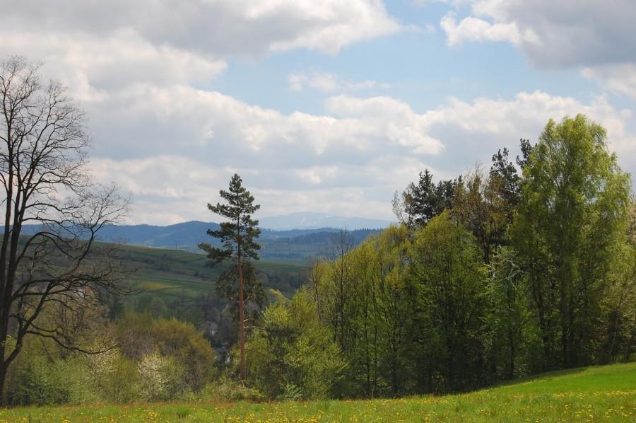 Widok z Przełęczy Kocierskiej