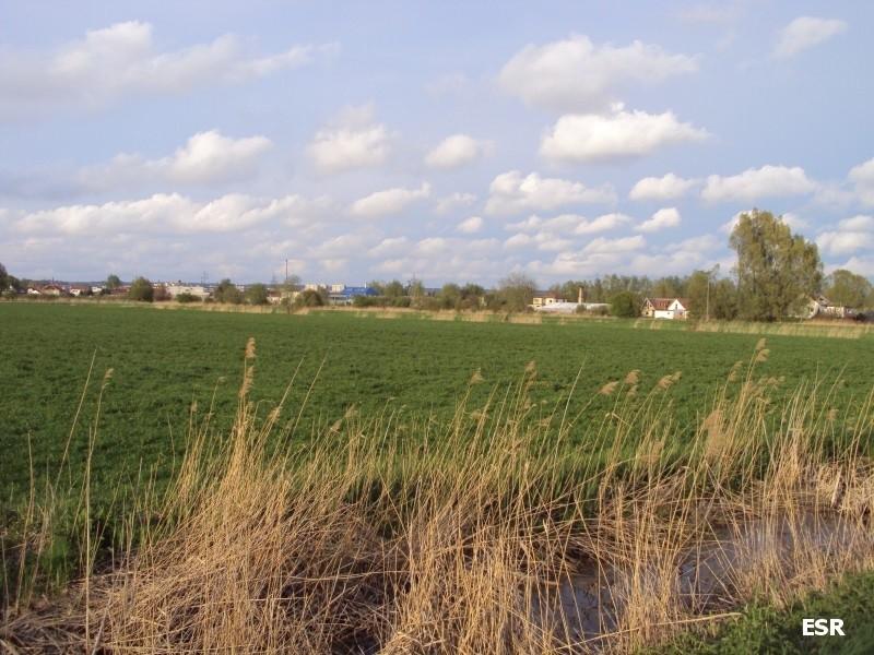 Chmurki