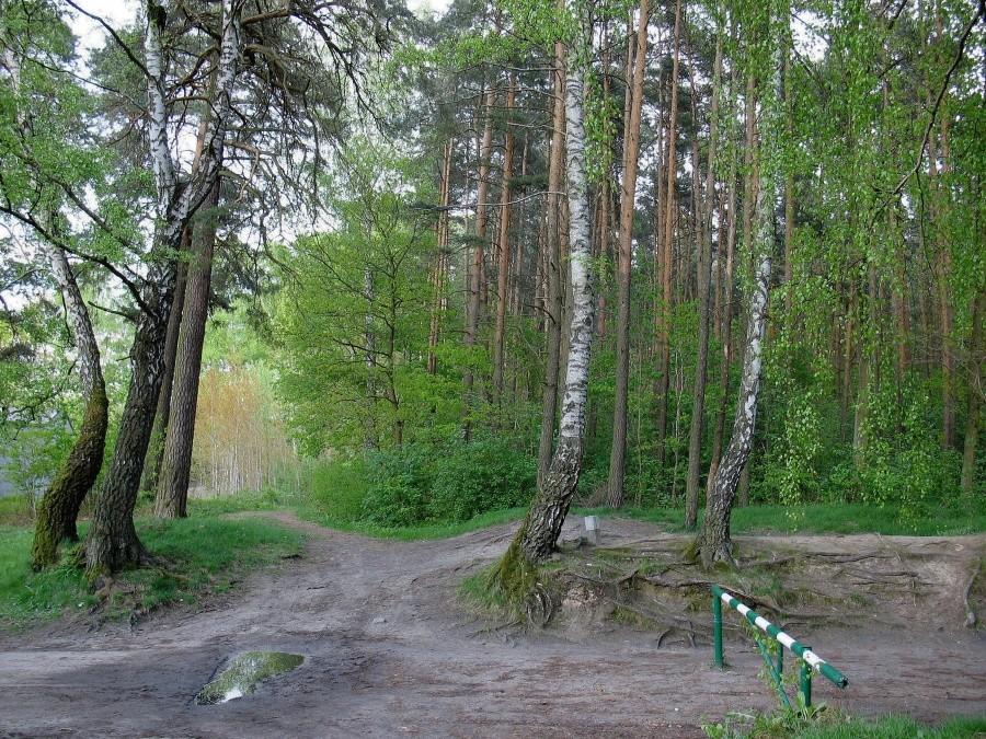 Wejście do Lasu Kabackiego