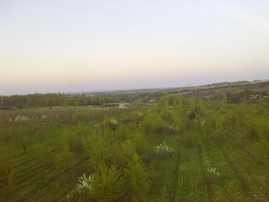 Widok na sady koło Mstowa