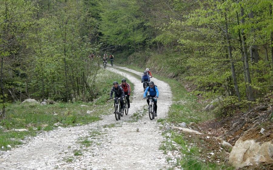 Sporo bikerów - okazało się że Ci za nami to też wczorajsi maratończycy :)