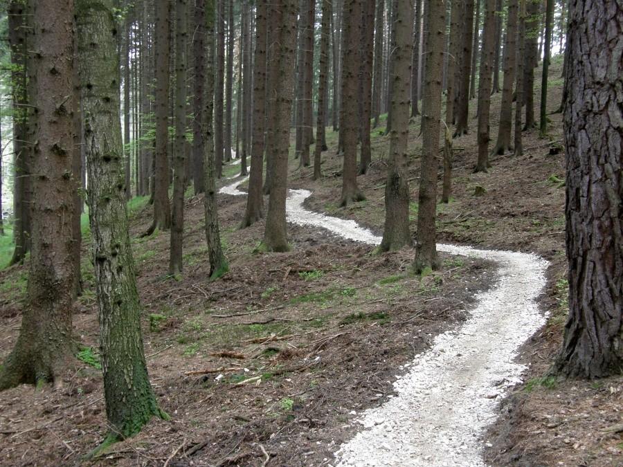 Ale fajnie :) Kręciłem tamtędy tak szybko że walnąłem w jedno drzewo i nabawiłem się ranki na ramieniu :)