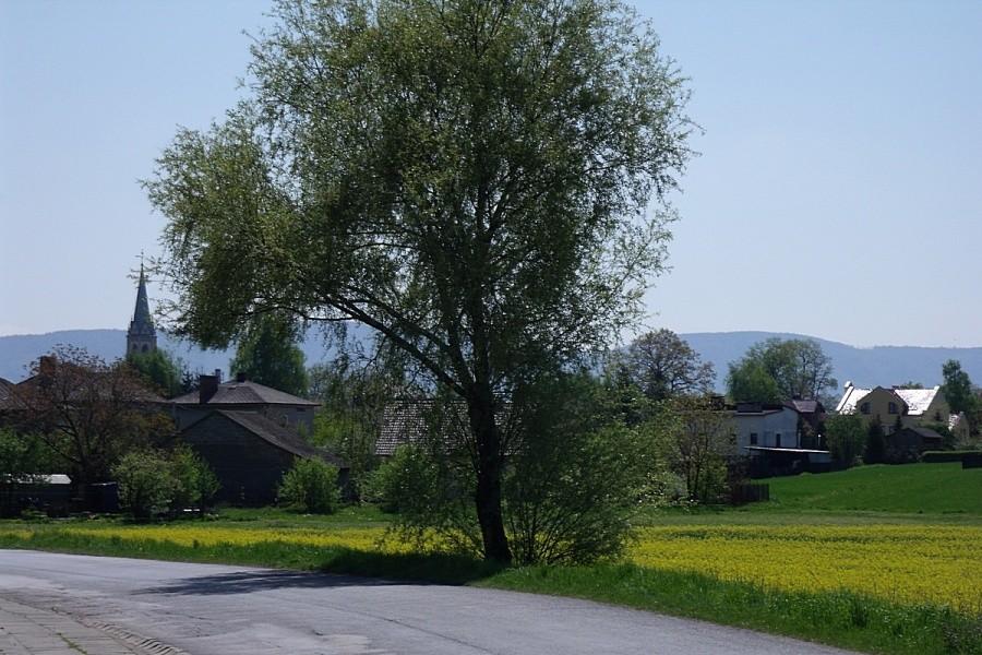 Widok na Wilamowice
