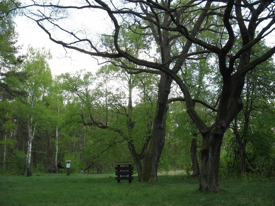 Posada Sieraków