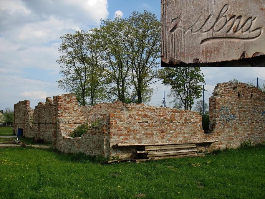 Łosia Wólka - ruiny szkoły