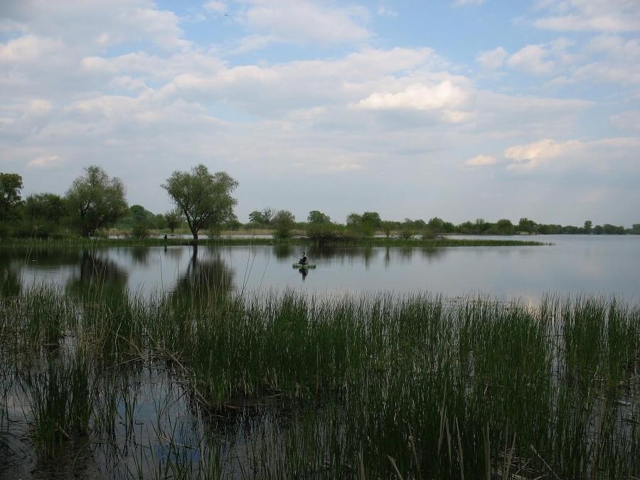 Jezioro Dziekanowskie