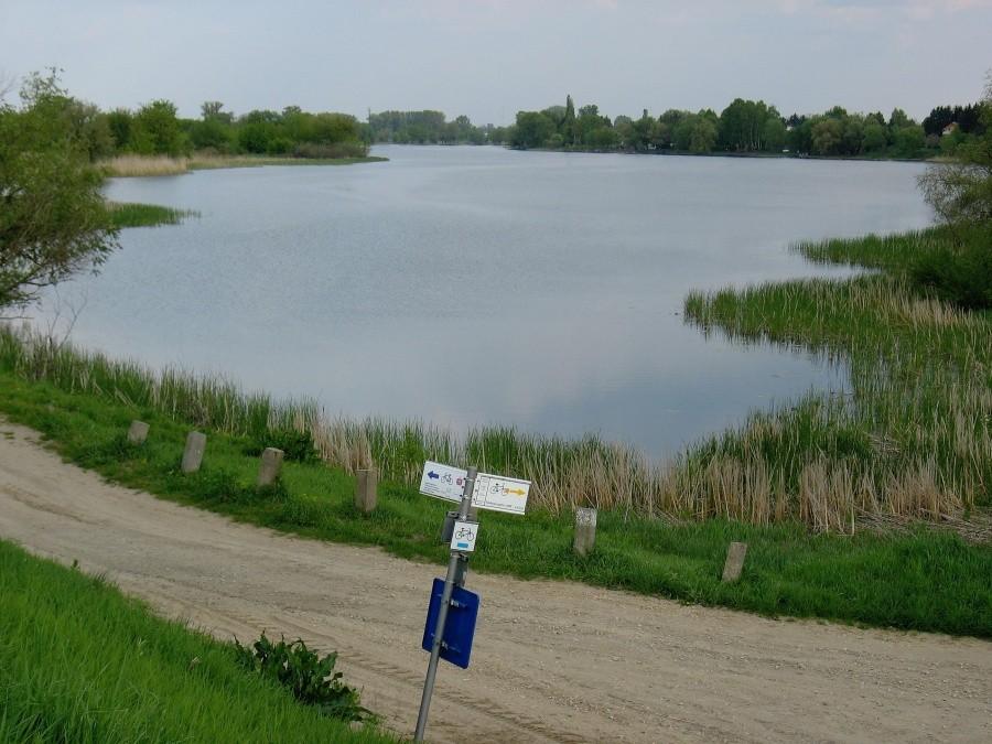 Jezioro Dziekanowskie