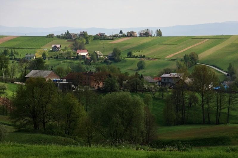 Okolice Zebrzydowic