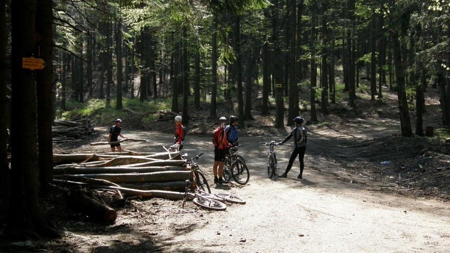 Przymusowy postój spowodowany kapciem mlodzika