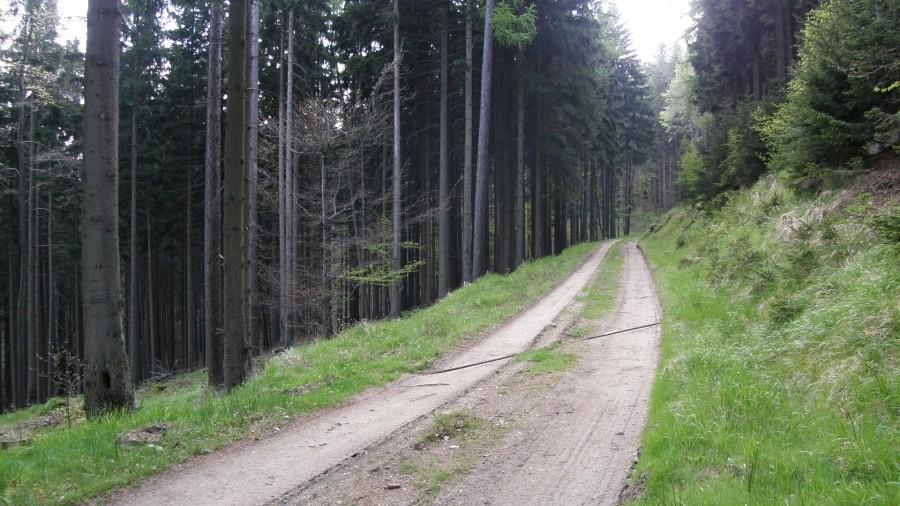 Spokojny szuterek :)