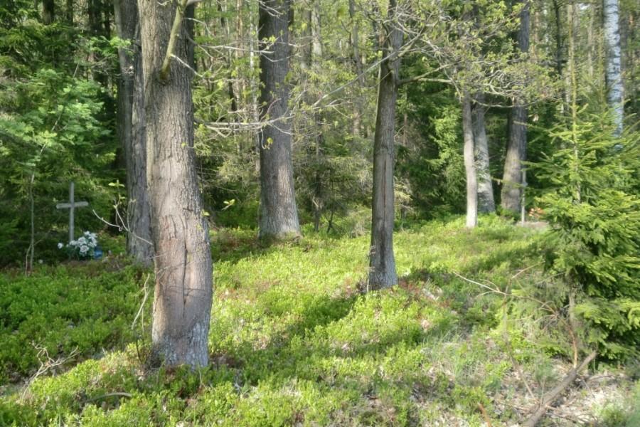 Groby jeńców jugosłowiańskich z II wojny