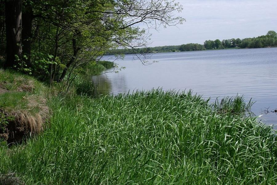 Jezioro Łąckie