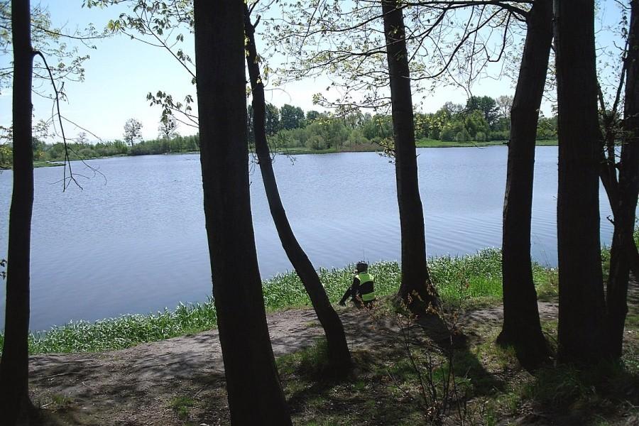 Piknik