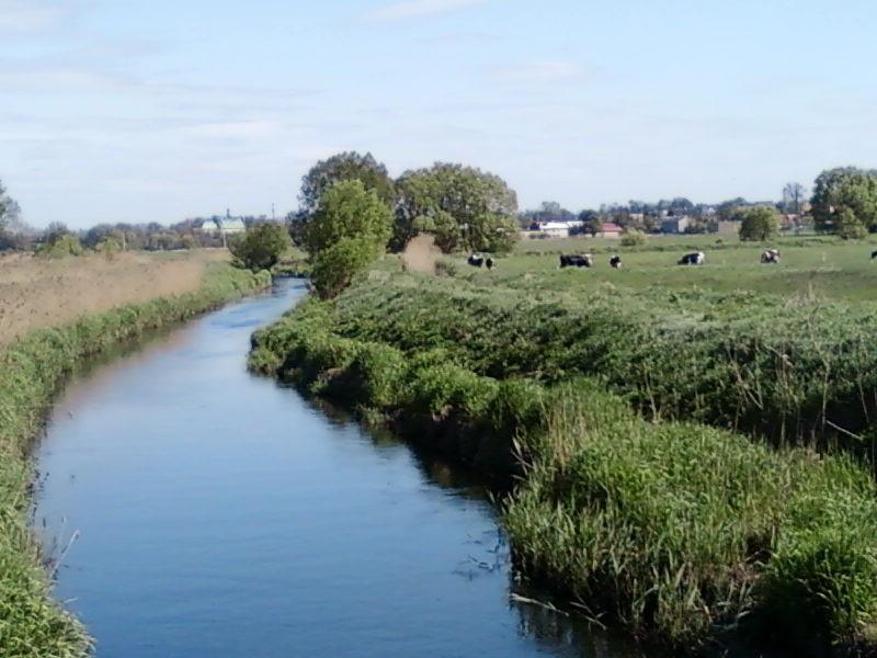 Ner w Kazimierzu
