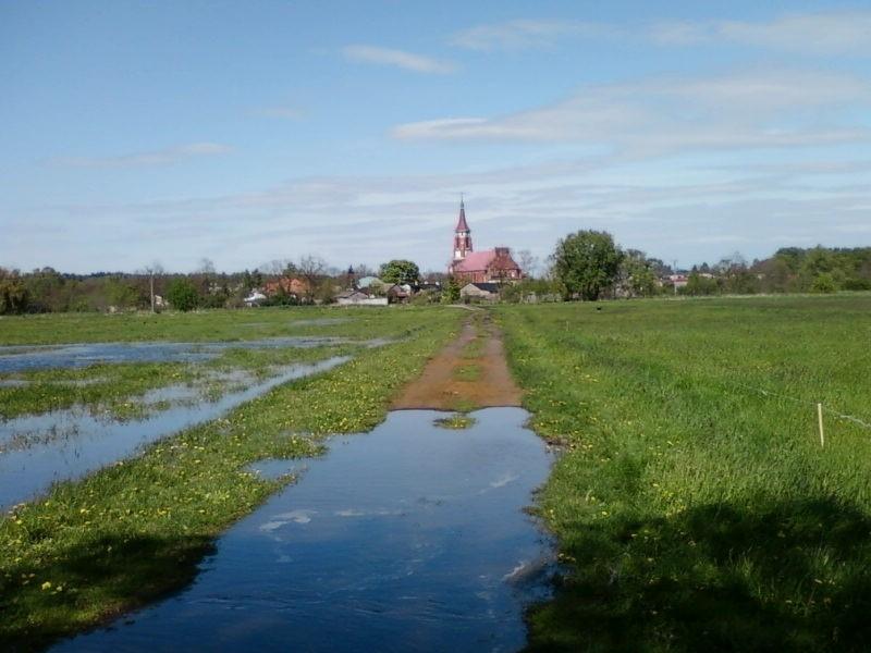 W tle kościół w Kazimierzu