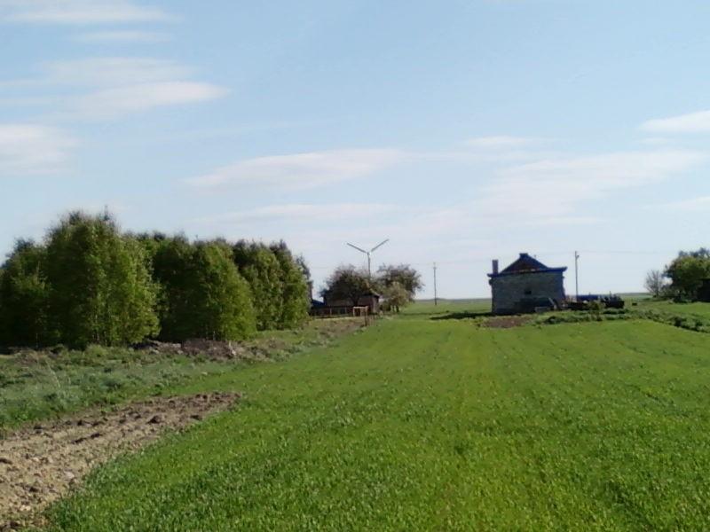 Wiatrak w Bechcicach