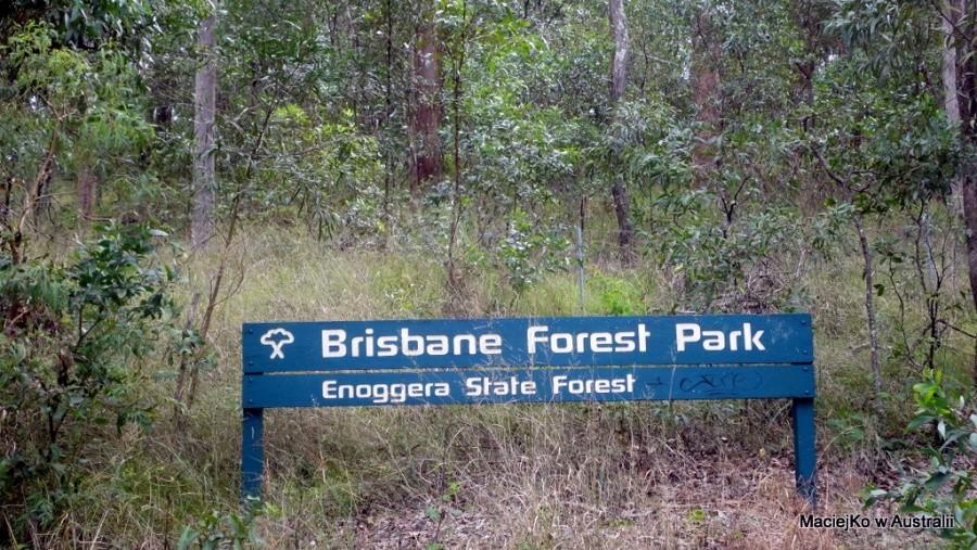 Brisbane Forest Park