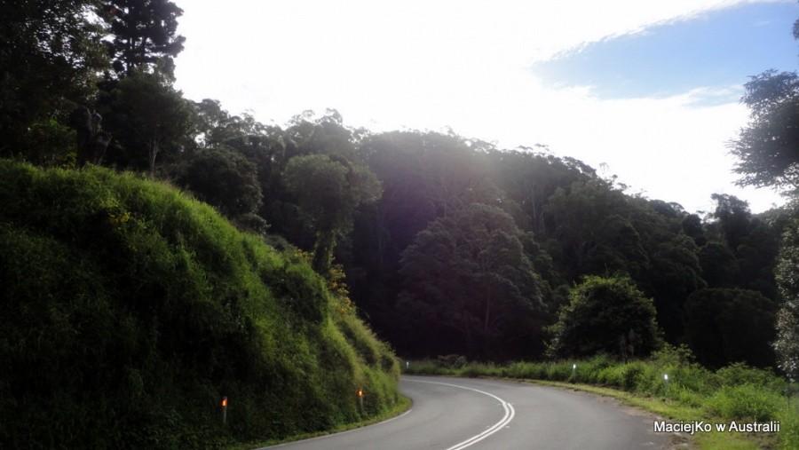 Mt Nebo Rd