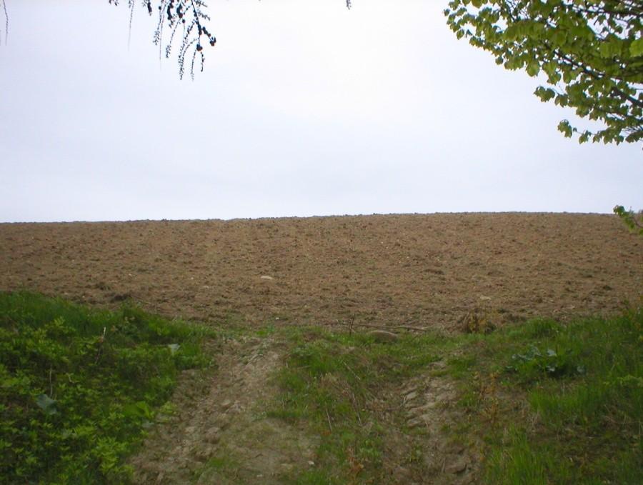 BRAK ZNAKÓW SZLAKU PROWADZI W ...POLE :-)