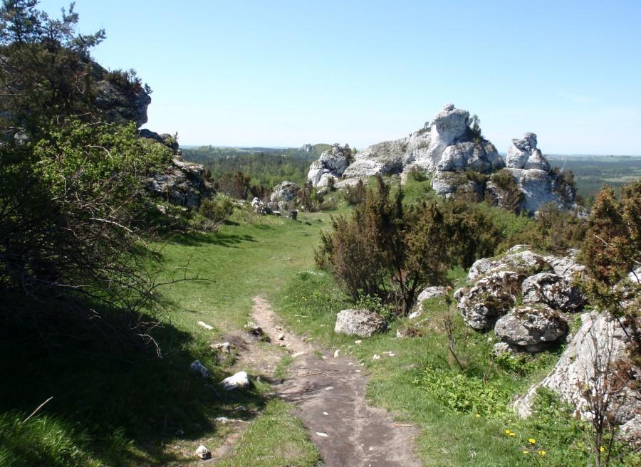 Na Górze Zborów