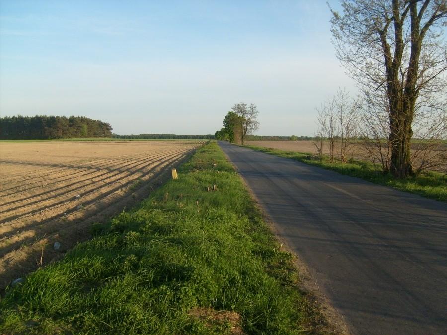 Droga Zawidowice - Brzezie