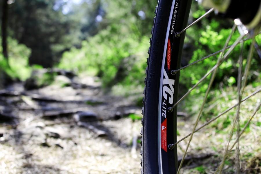 Lesny single track