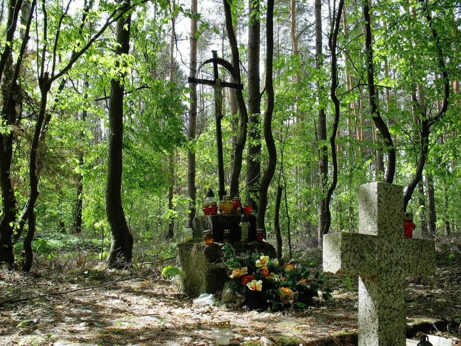Wola Gołkowska - cmentarz z I wojny światowej